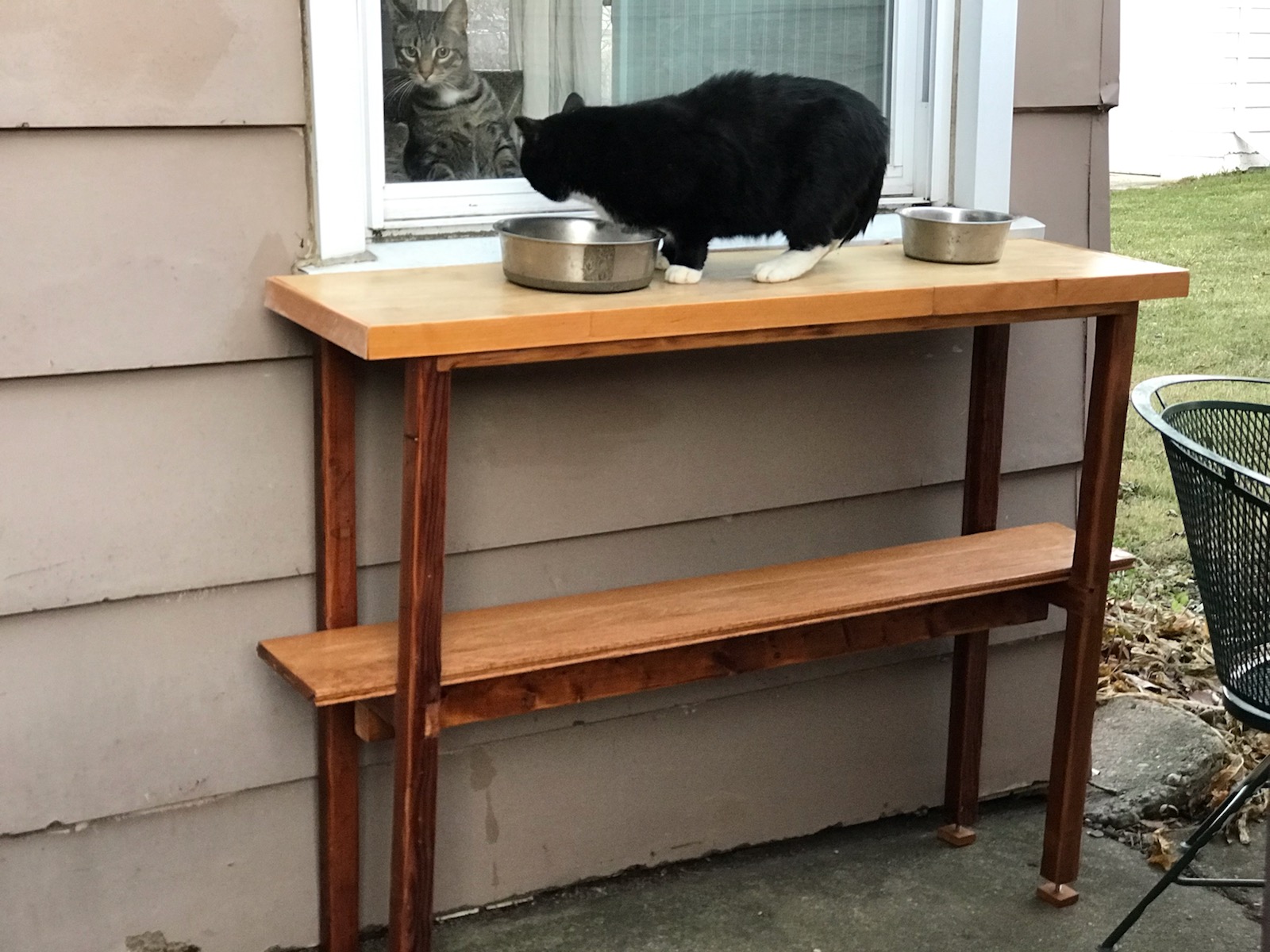table for cats in its new home