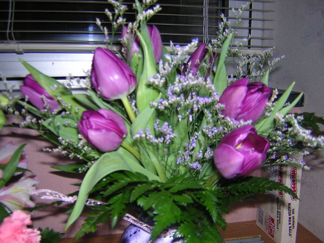 flowers4.jpg